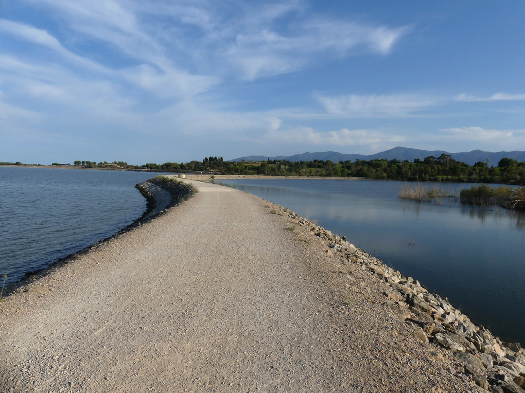 Lac de Villeneuve-de-la-Raho-Villeneuve-de-la-Raho必去景点