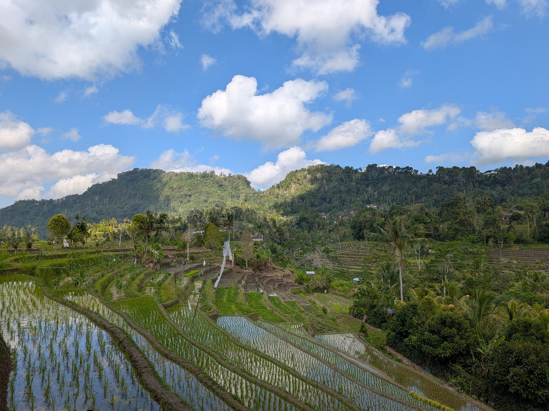 Suweca Bali Tour-南湾必去景点