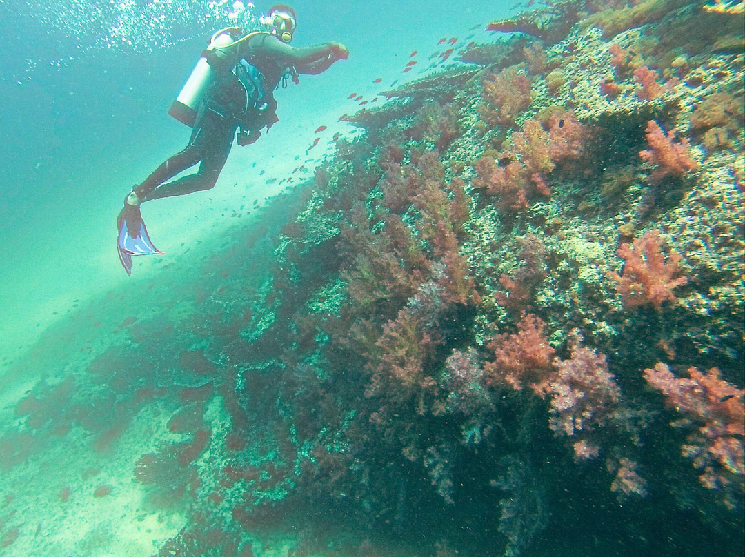 Seaoman Dive-Al Mussanah必去景点