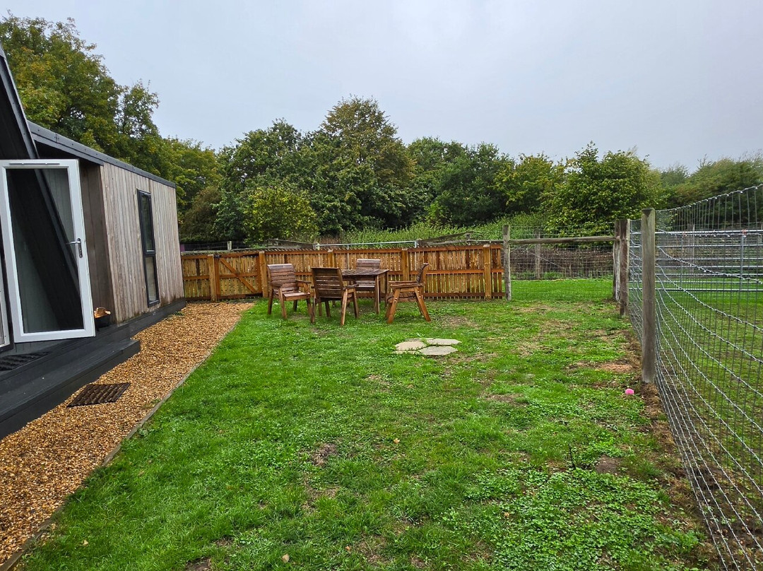 Stubbs Farm Alpacas-Loddon必去景点