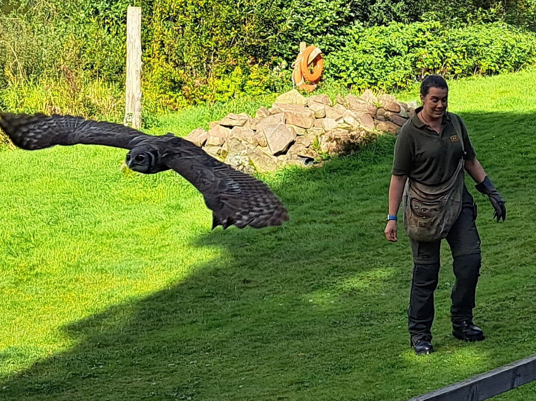 Blair Drummond Safari & Adventure Park-斯特灵必去景点