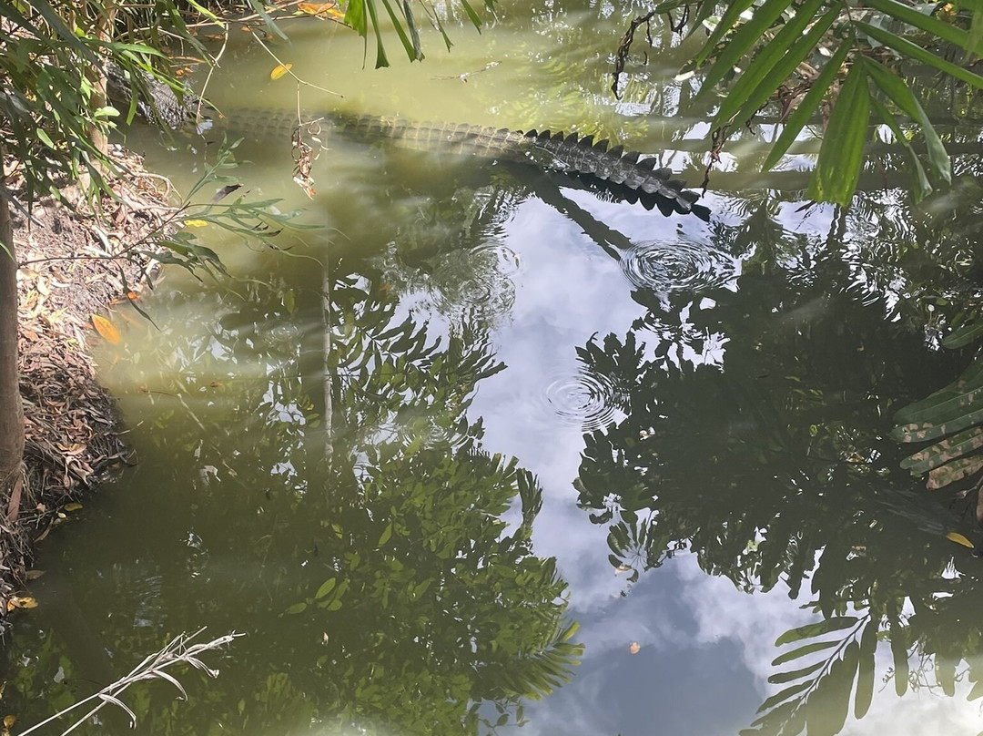 Wildlife Habitat Port Douglas-道格拉斯港必去景点