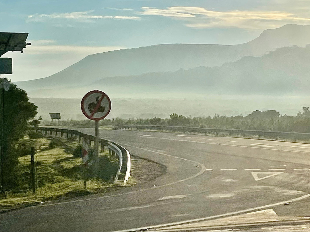 Piekenierskloof Pass-Citrusdal必去景点