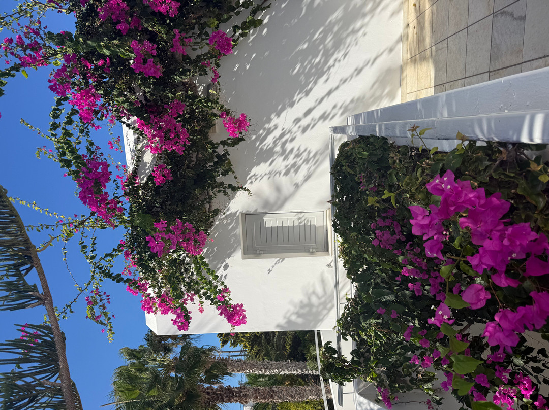 怀特帕罗斯夫妇酒店-世界小型豪华酒店主图