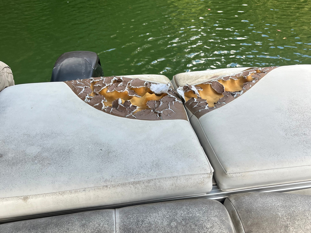 Sutton Lake Marina-Sutton必去景点