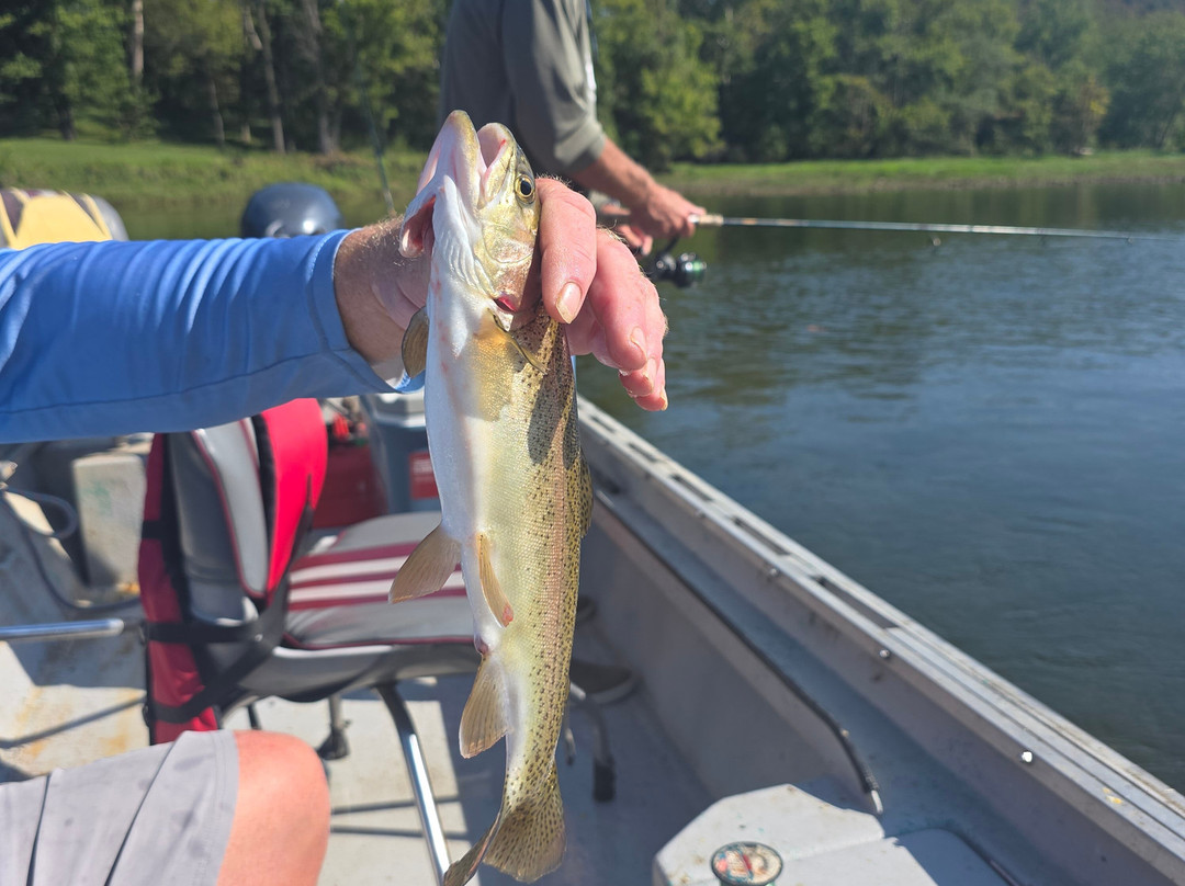 Cotter Trout Dock Guided Trout Fishing Tours-Cotter必去景点