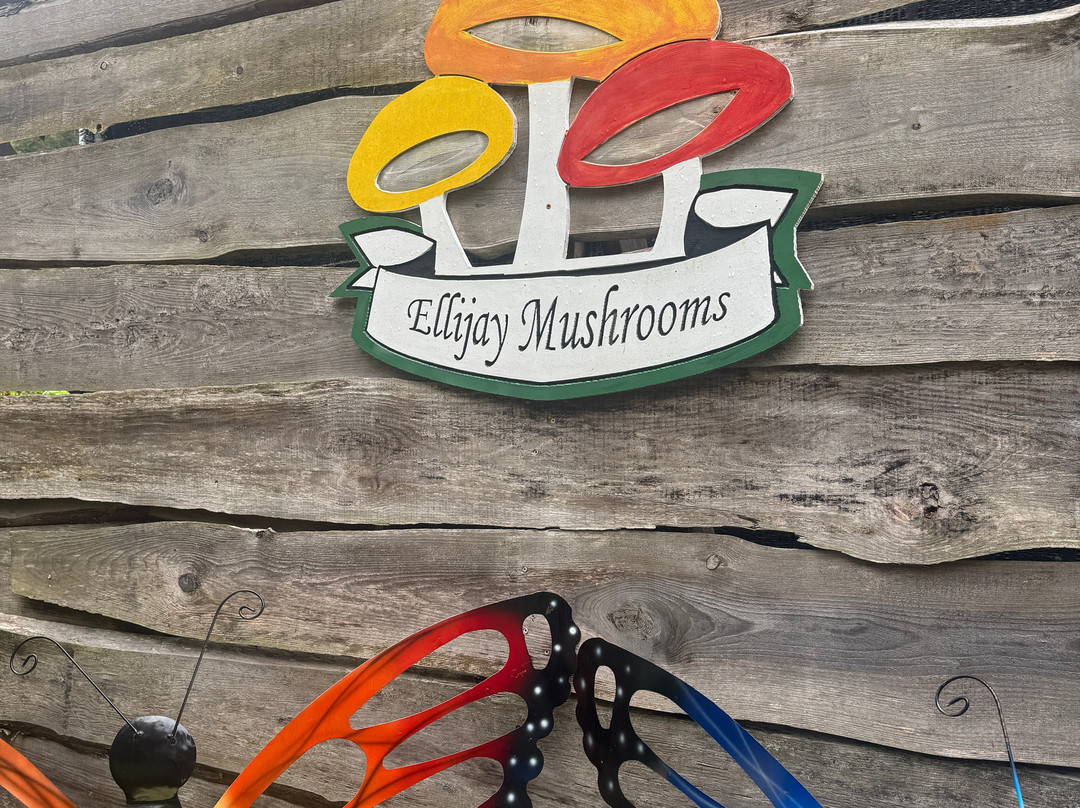 Ellijay Mushrooms - Farm Store-Ellijay必去景点