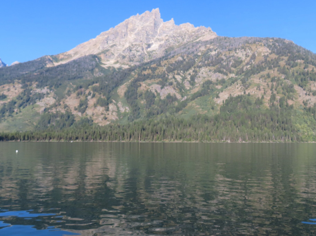 Jenny Lake Boating-穆斯必去景点