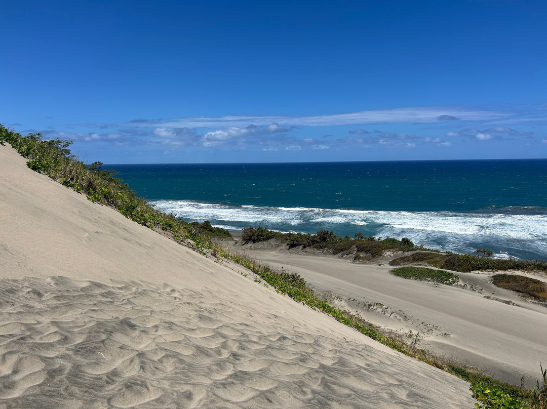 Sigatoka Sand Dunes National Park-辛加东卡必去景点