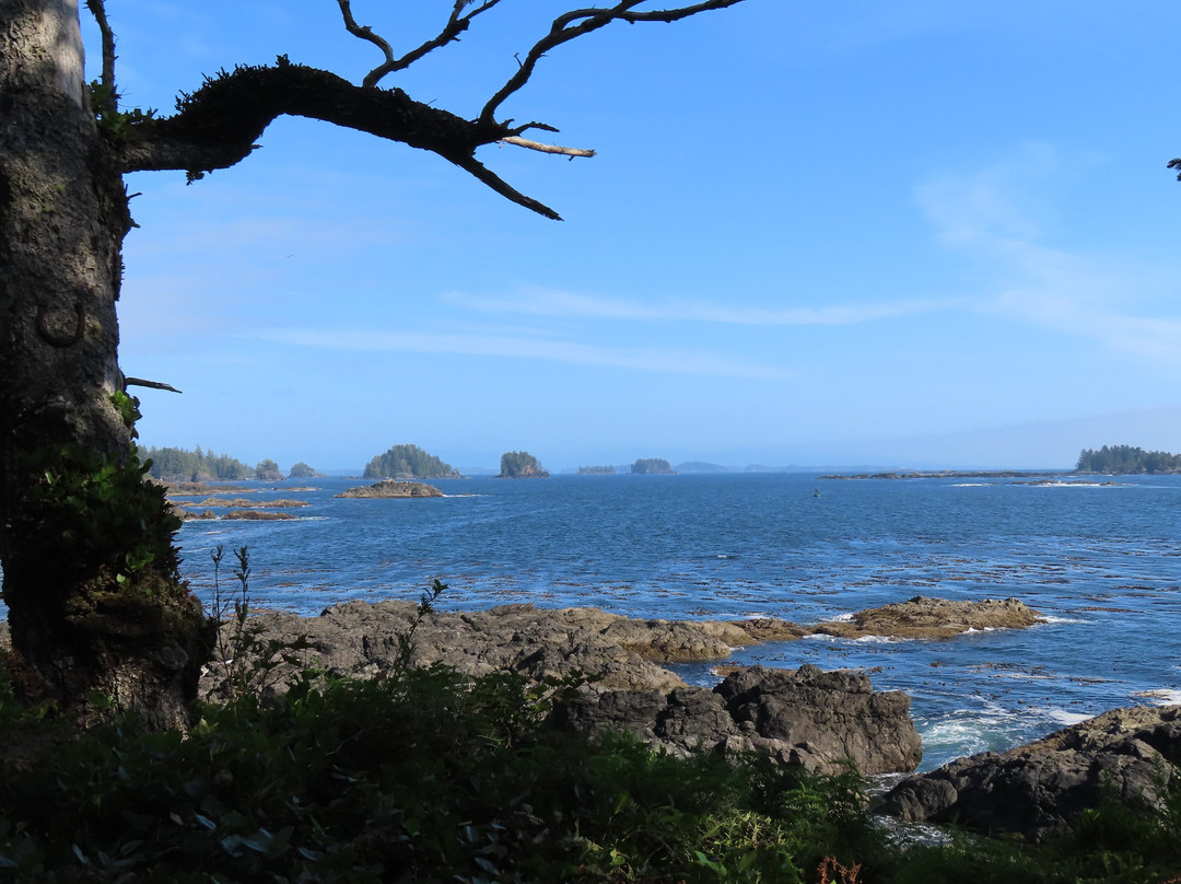 Wild Pacific Trail-尤克卢利特必去景点