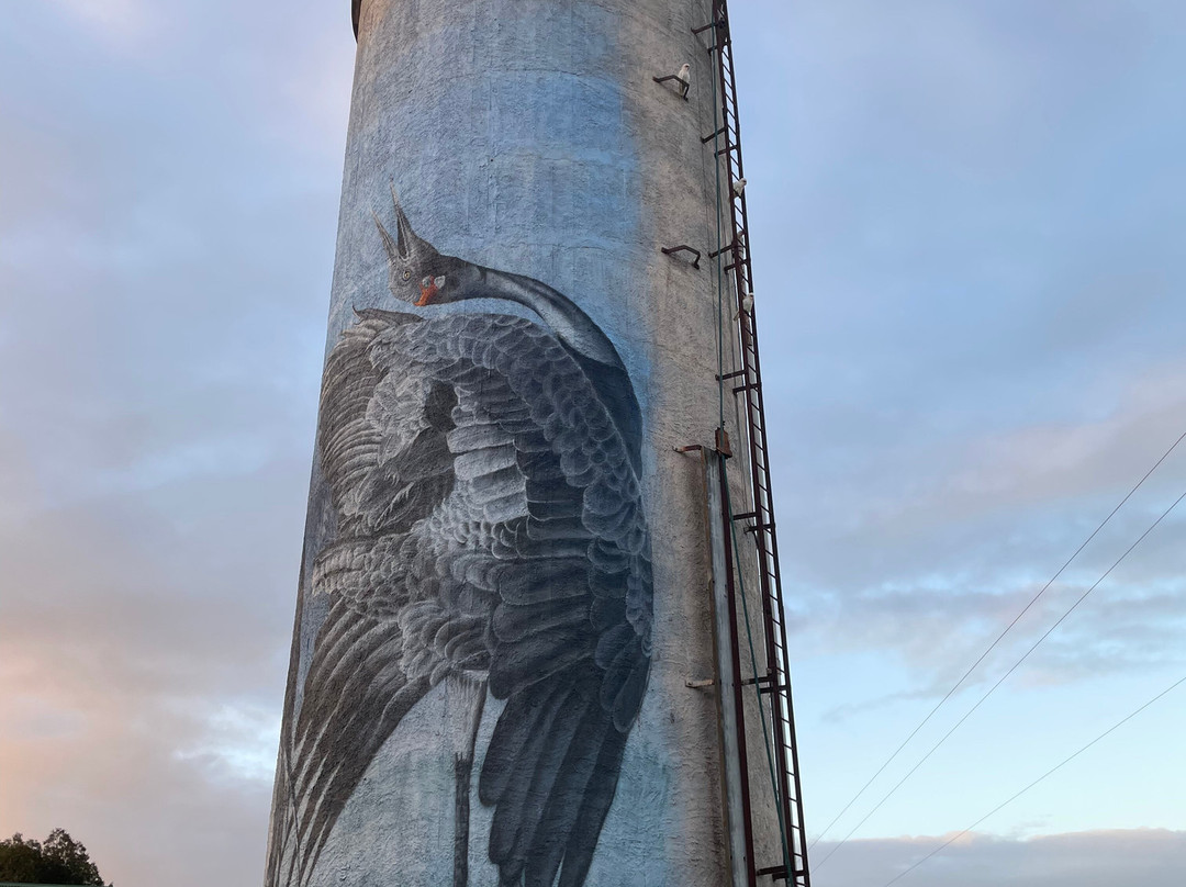 Lismore Water Tower Art-Lismore必去景点