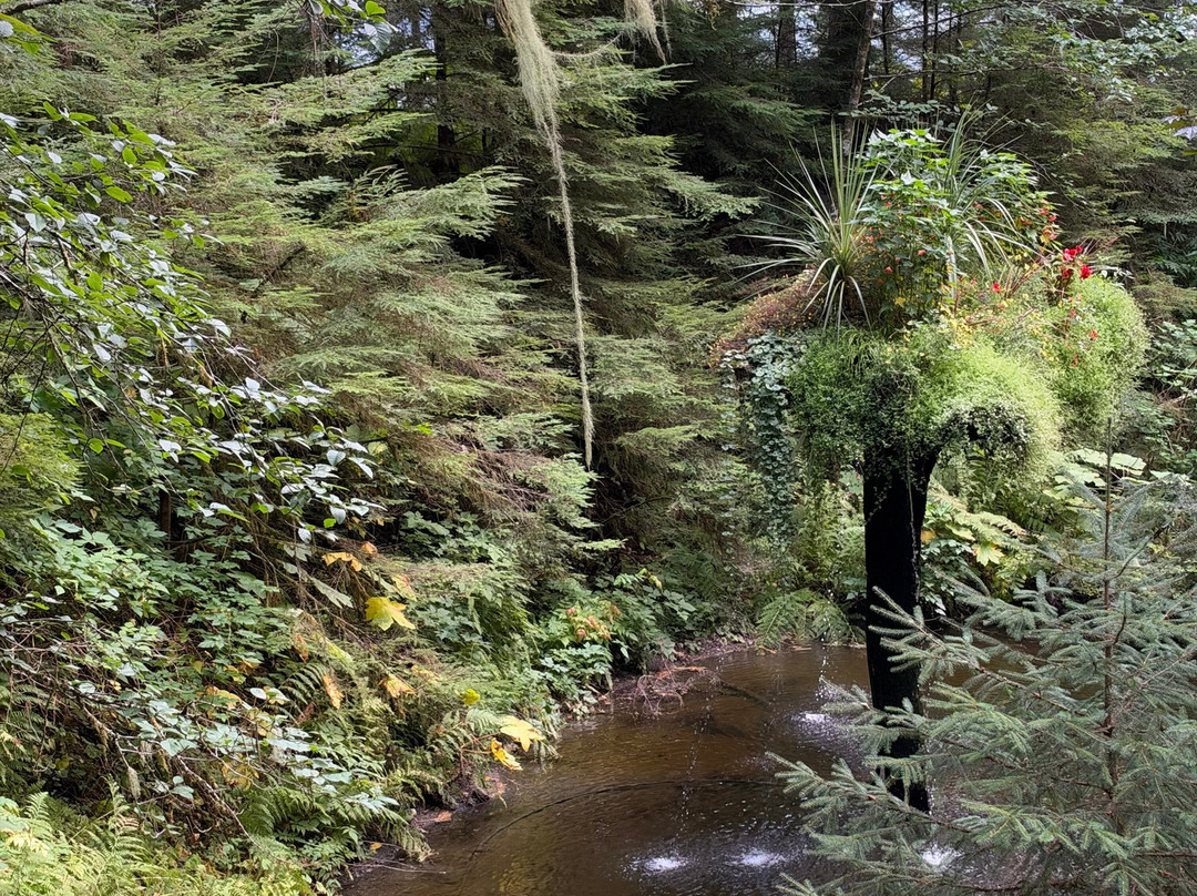 Glacier Gardens Rainforest Adventure-朱诺必去景点