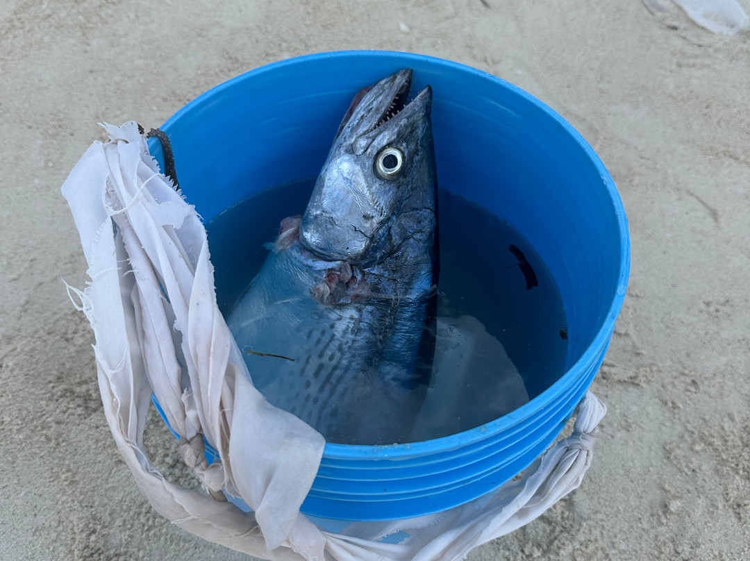 Simba Fishing Zanzibar-Pwani Mchangani必去景点