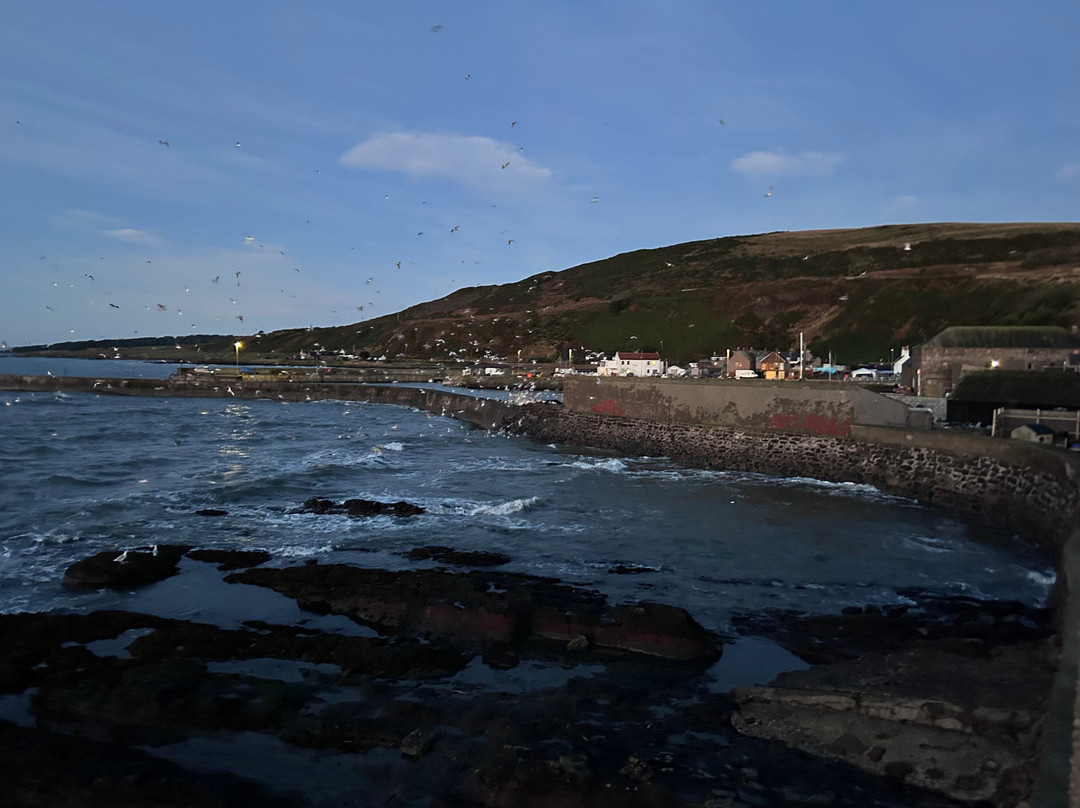 Gourdon Harbour