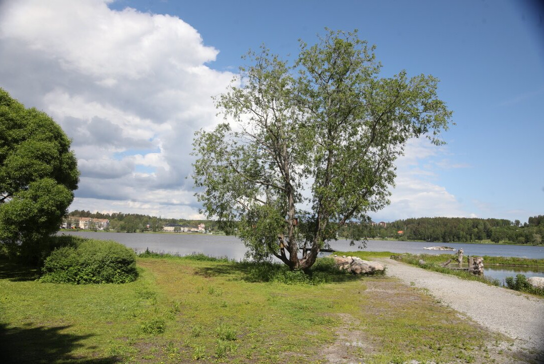 Lillfjärden-Hudiksvall必去景点