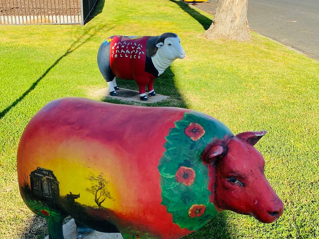 Sheep Art-Kaniva必去景点