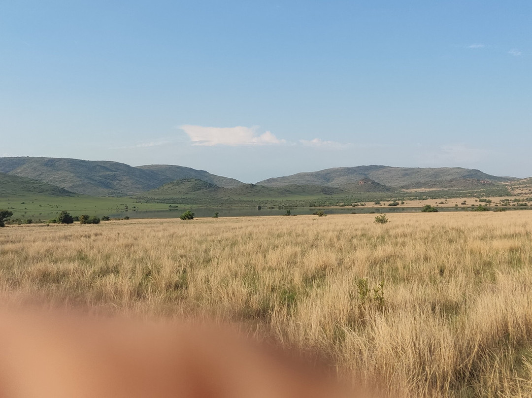 Pilanesberg National Park-太阳城必去景点