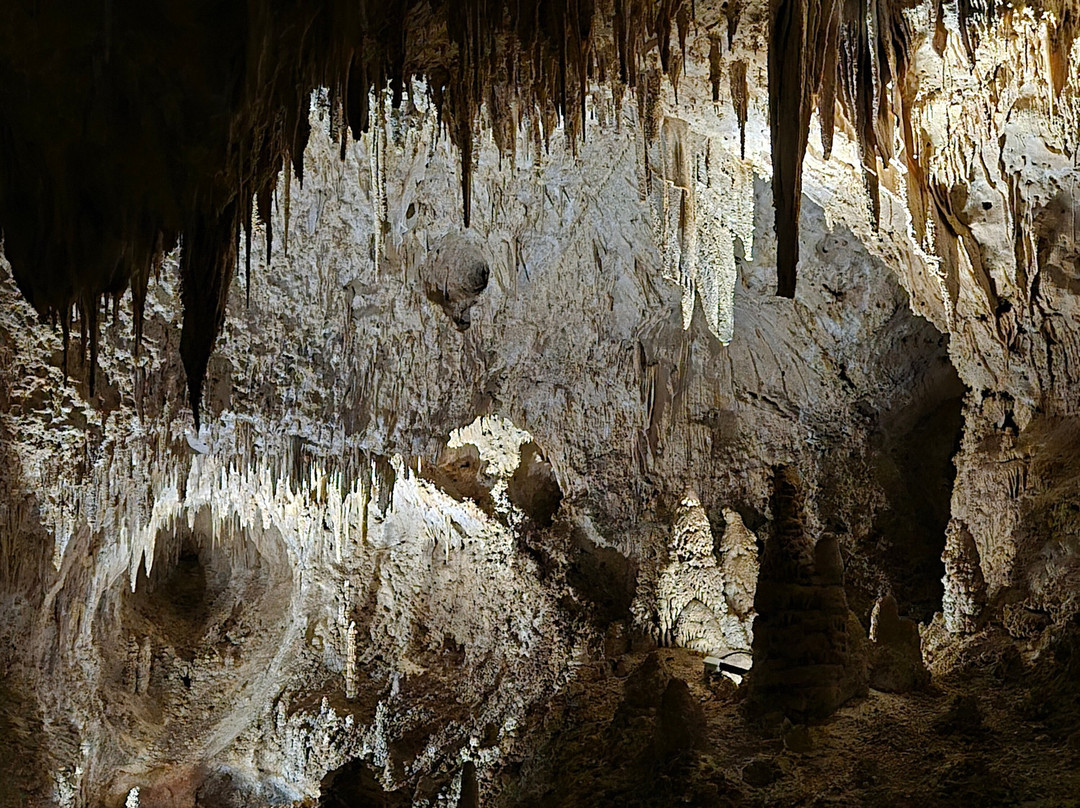 Carlsbad Caverns Natural Entrance Tour-卡尔斯巴德洞穴国家公园必去景点