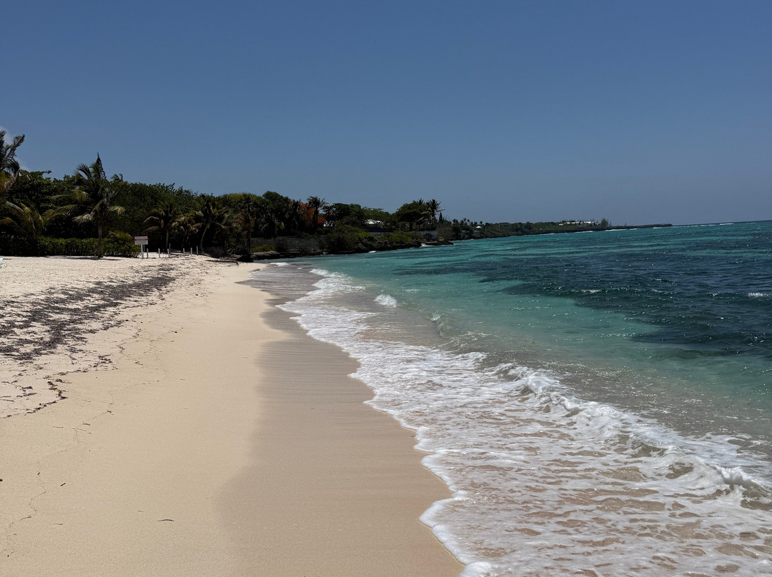 Spotts Beach-大开曼岛必去景点