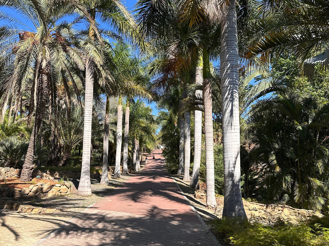 Jardín Botánico Histórico La Concepción-马拉加必去景点