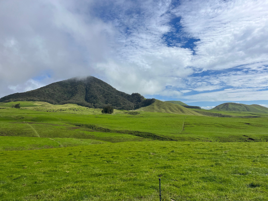 Na'alapa Stables - Kahua Ranch-卡慕也拉必去景点