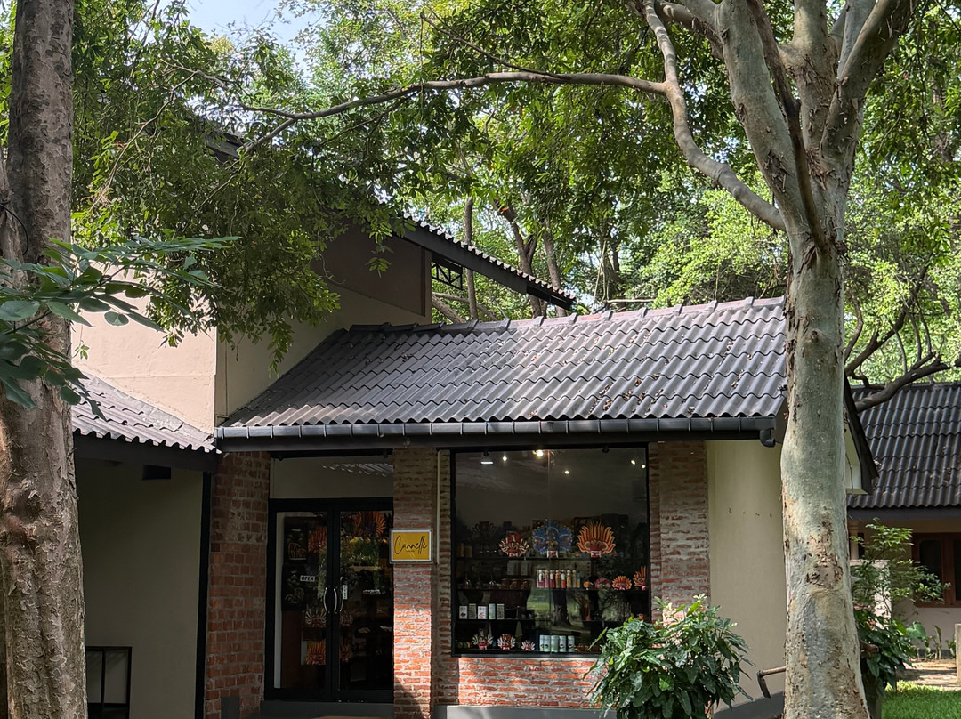 迦叶狮子岩酒店主图