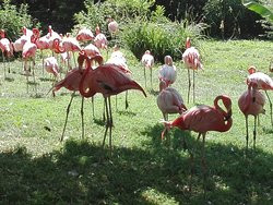 Jardin de la Ménagerie-索城必去景点