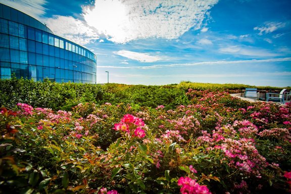 Ocean Casino Resort-官方