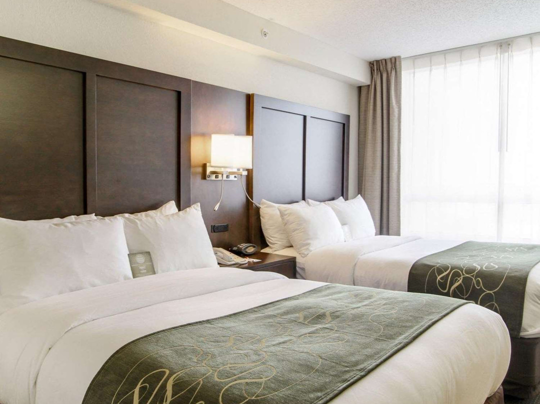 Hampton Inn By Hilton Weston Ft. Lauderdale主图