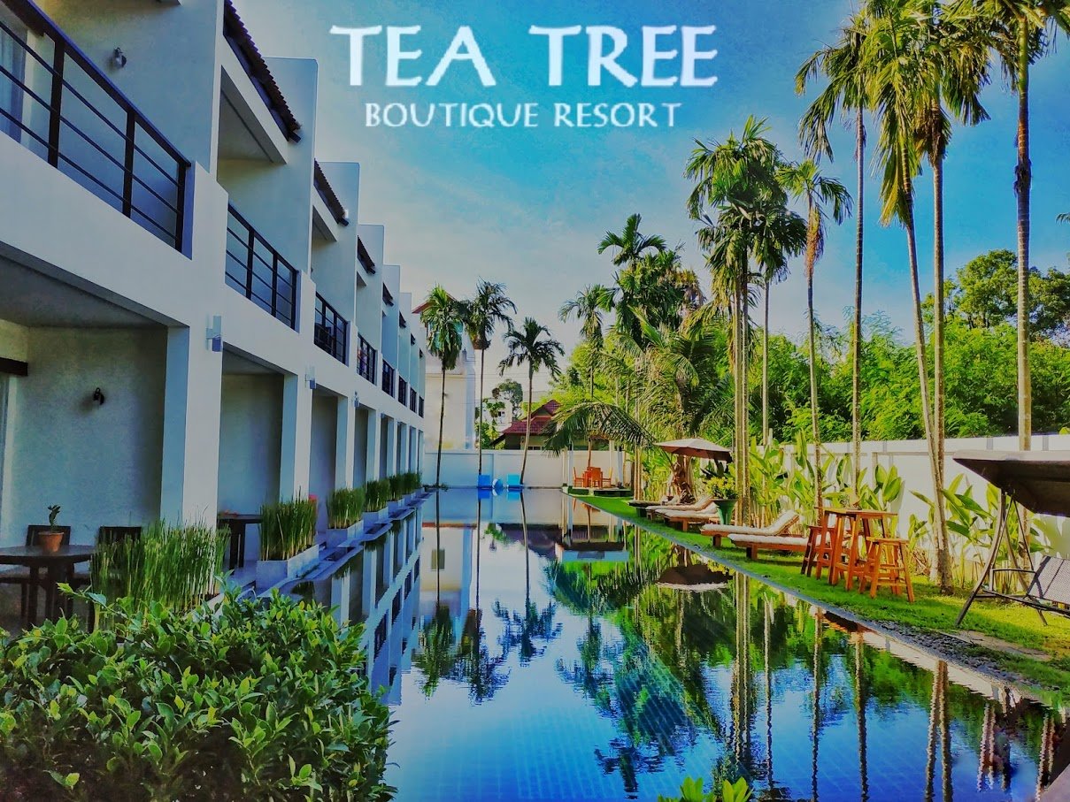 Tea Tree Boutique Resort-官方