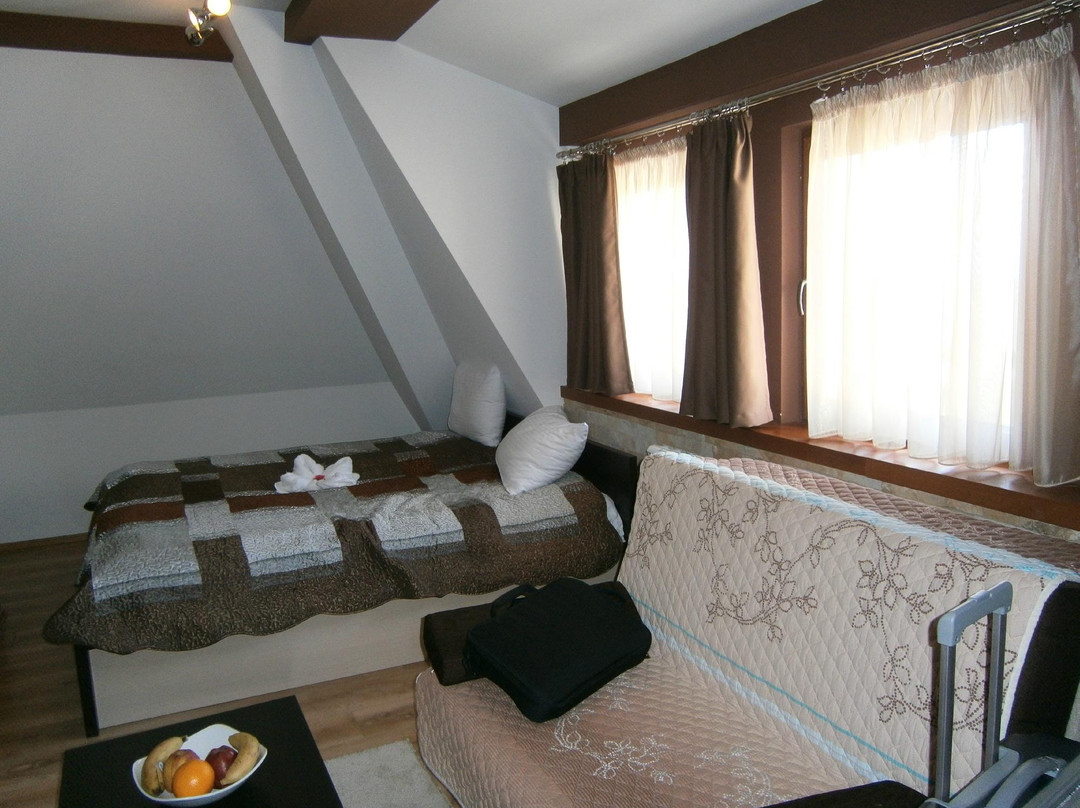 科帕奥尼克酒店住宿-Apart Hotel & Spa Zoned
