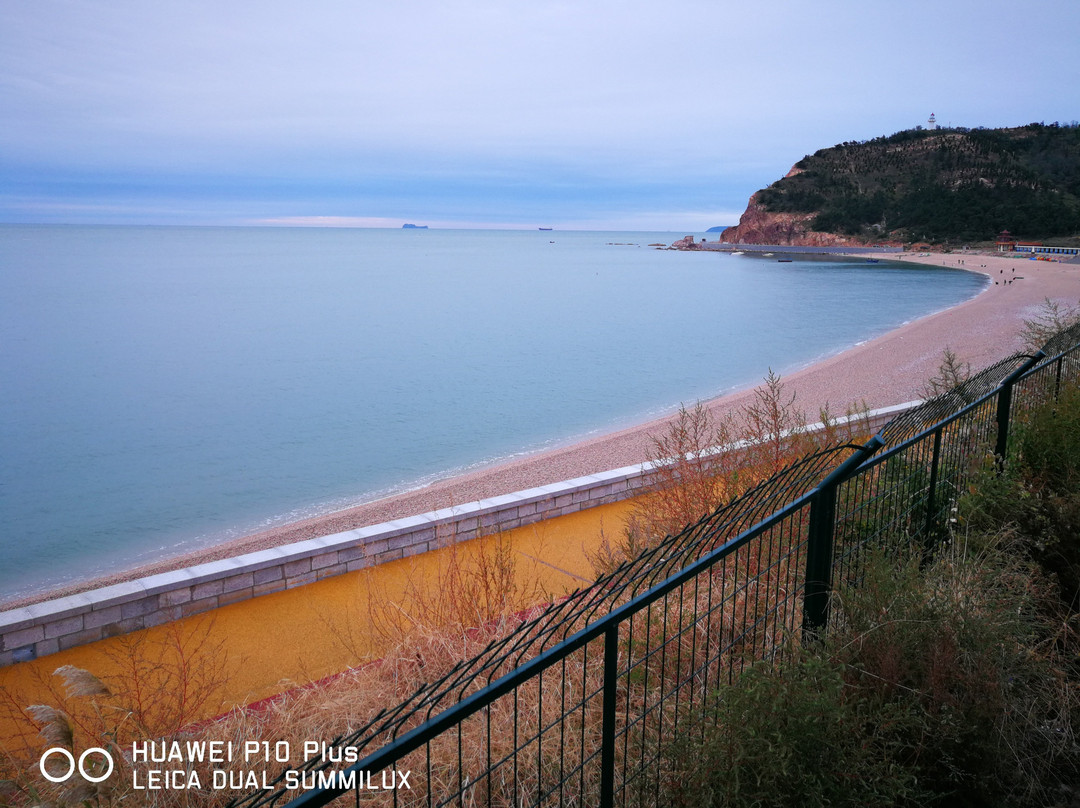 长岛林海公园-长岛县必去景点