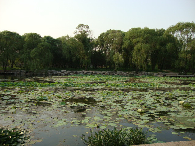 南湖公园景点图片