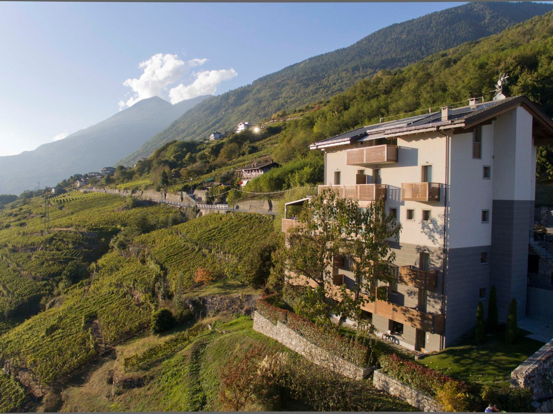 Montagna in Valtellina旅游攻略图片