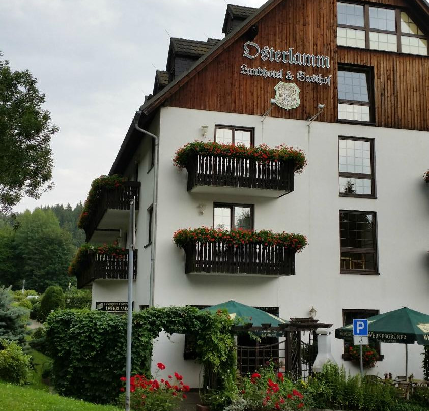 Markersbach酒店住宿-Landhotel & Gasthof Osterlamm