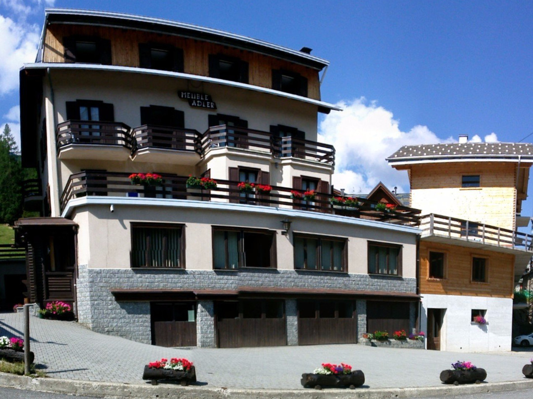 Hotel Meublè Adler