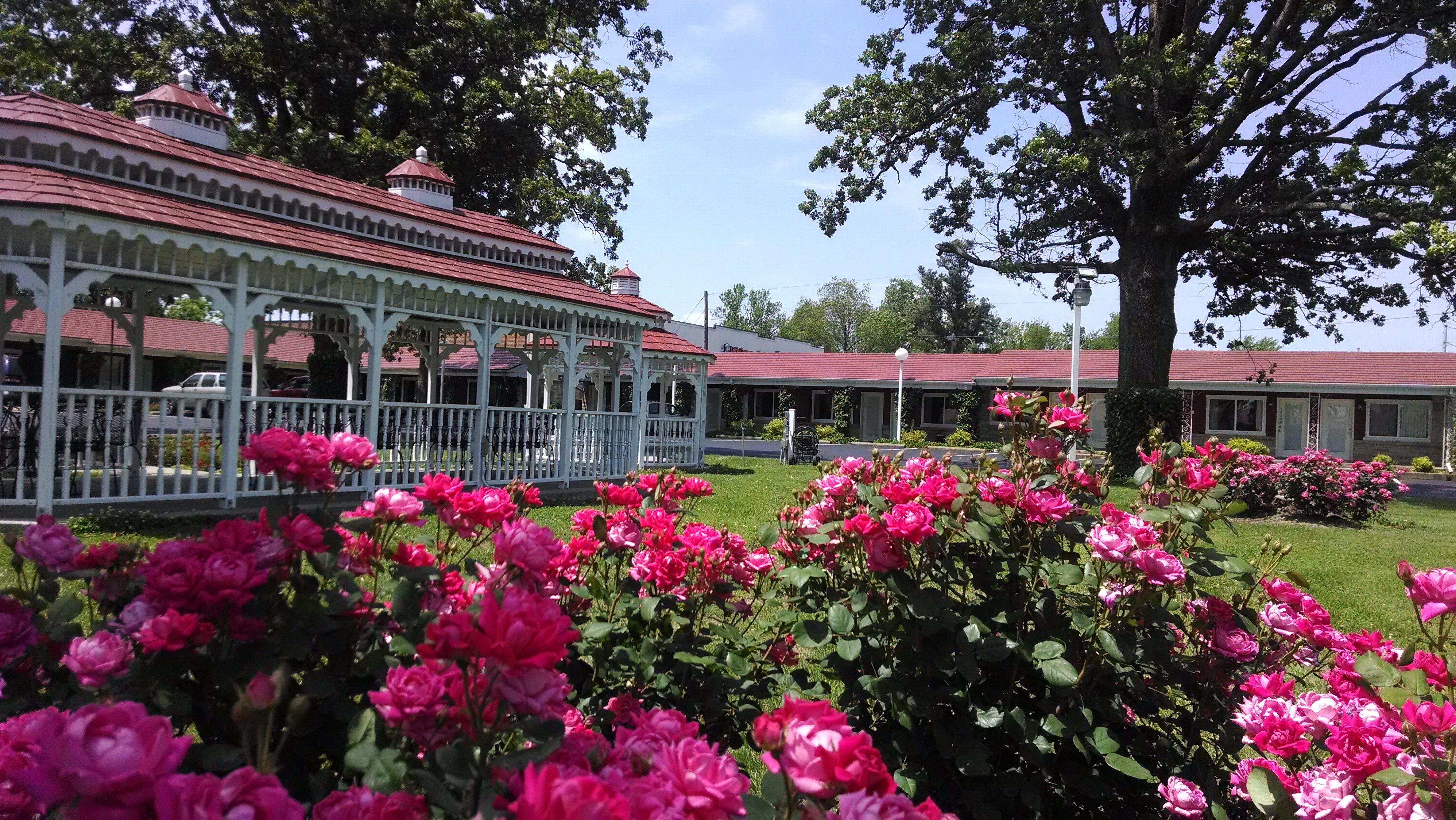 Murray Inn and Art Gallery-官方