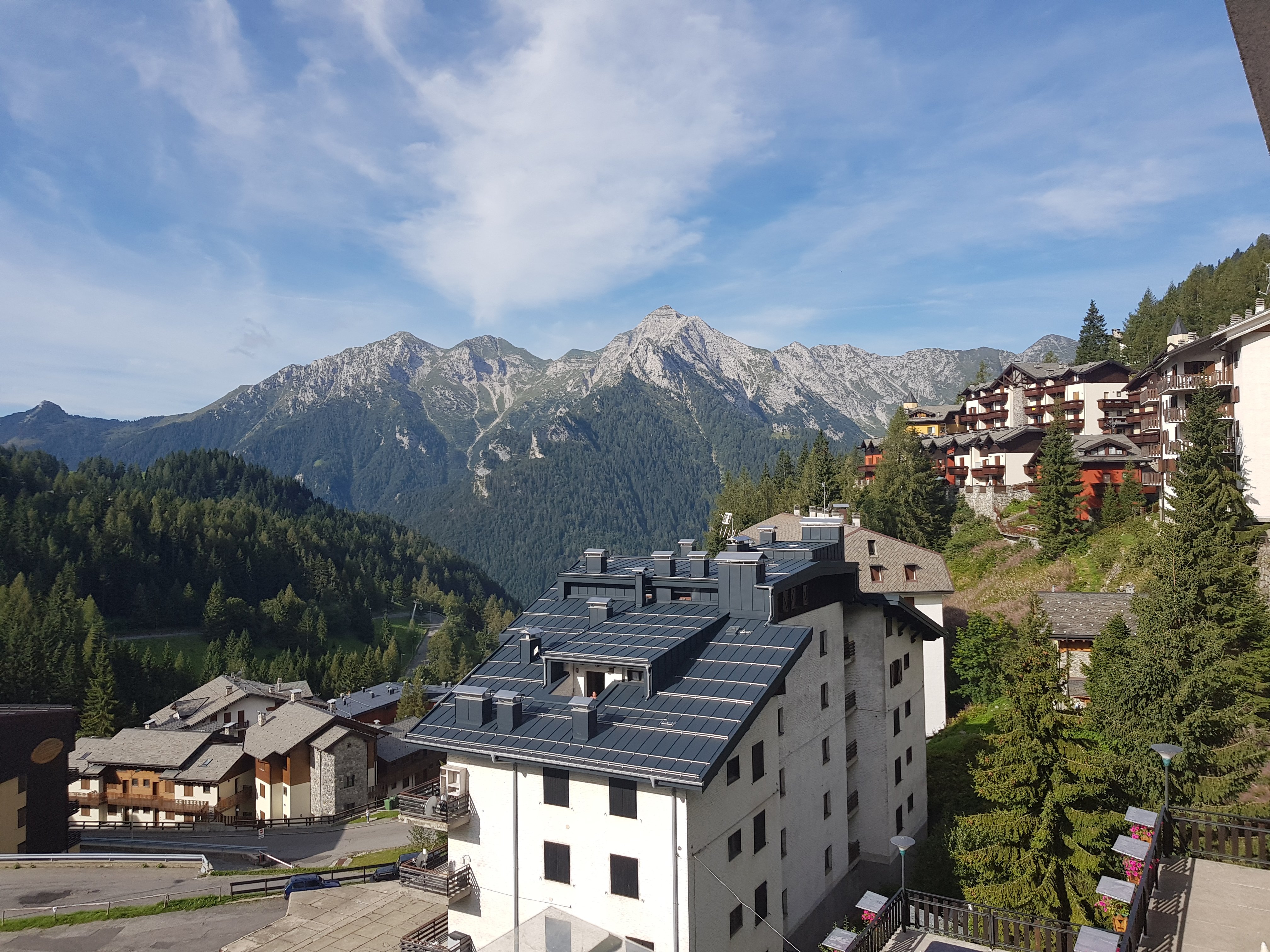 Hotel Des Alpes-官方