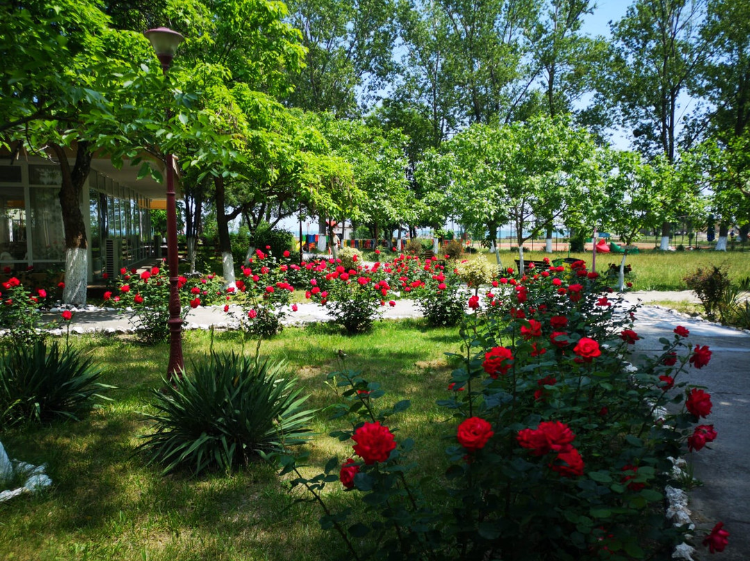 Complex Mediteranean Mamaia