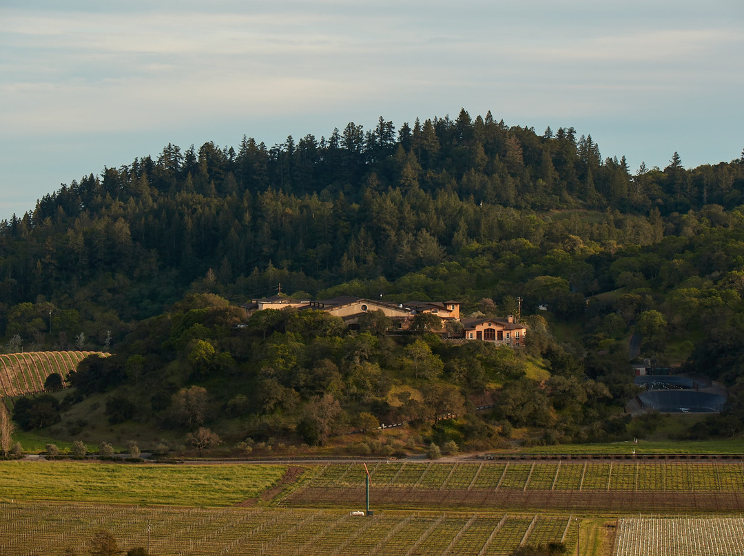 Silverado Vineyards景点图片
