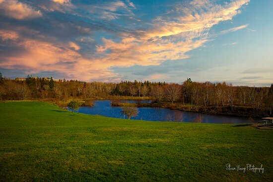 Greenlink Rotary Park Trail System-悉尼必去景点