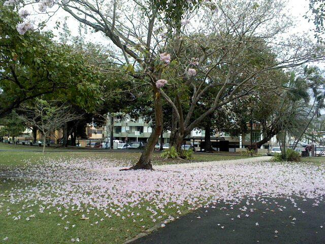 Parque de los Próceres Puertorriqueños景点图片