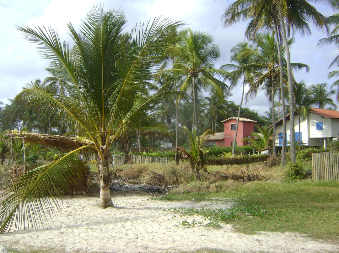 Praia Ponta do Ramo-Ilheus必去景点