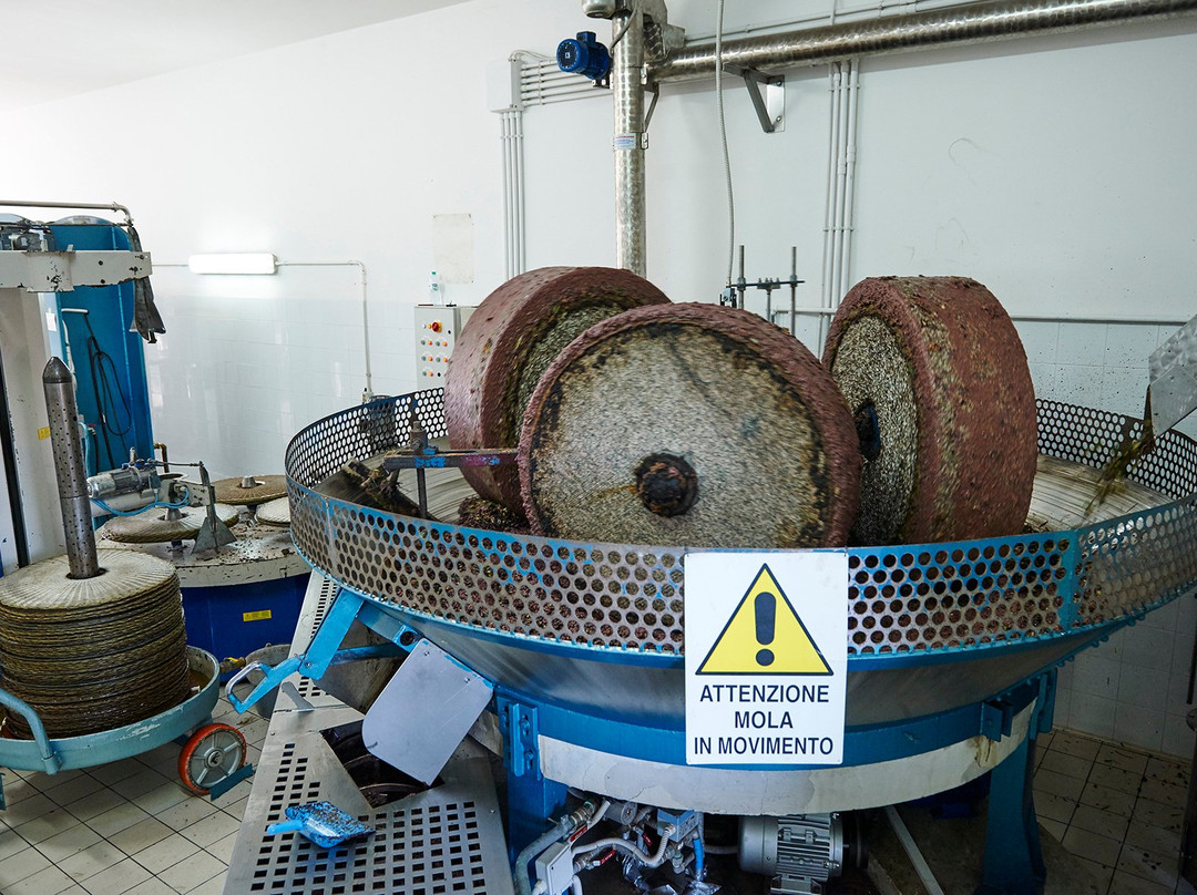 Coreggia旅游景点-Oleificio Salamida