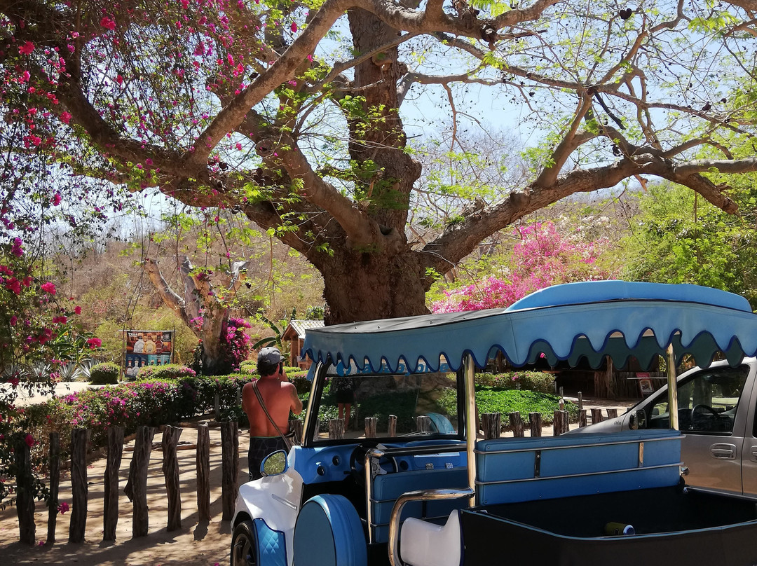 Los Osuna-La Noria必去景点