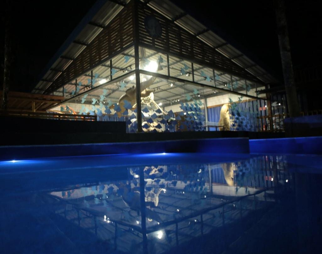 Marine Life Museum-乌巴图巴必去景点