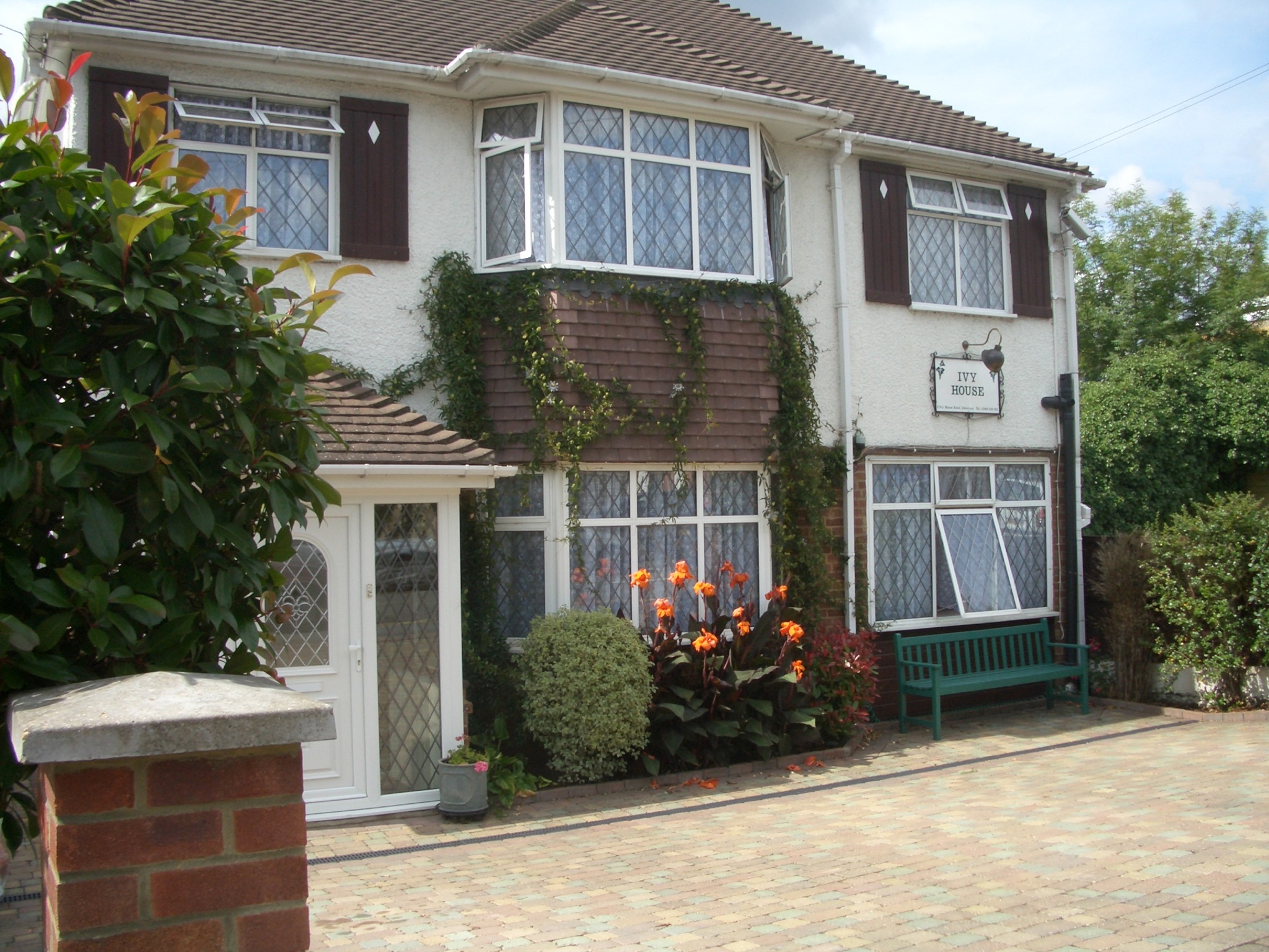 Ivy Guesthouse-官方