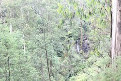 Mason Falls Picnic Ground-Kinglake必去景点