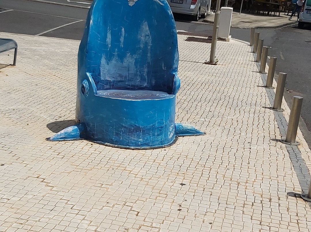 Chairs Of Caniçal景点图片