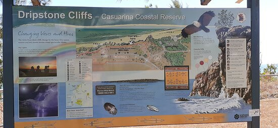 Casuarina Coastal Reserve景点图片